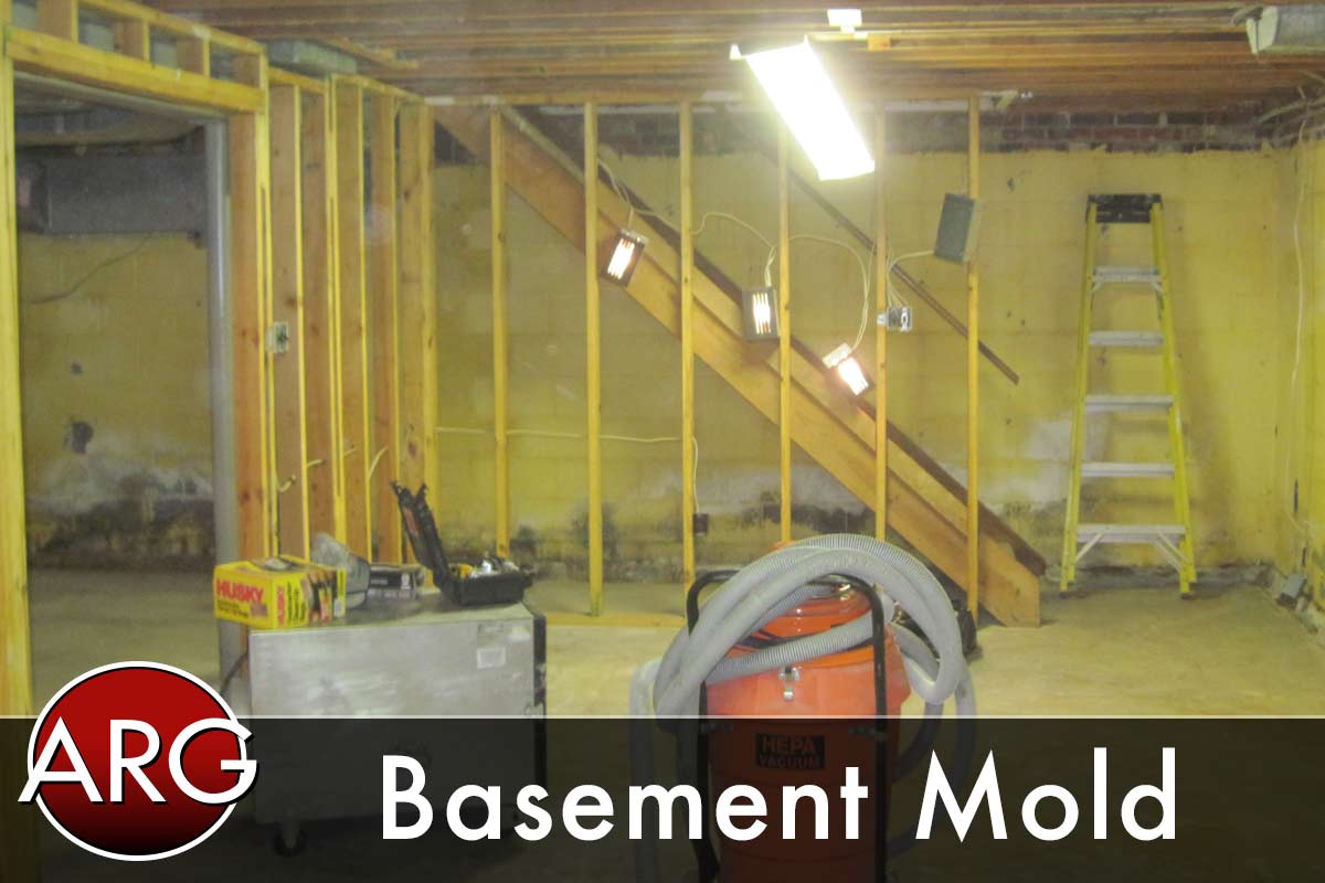 Basement Mold Northern Virginia