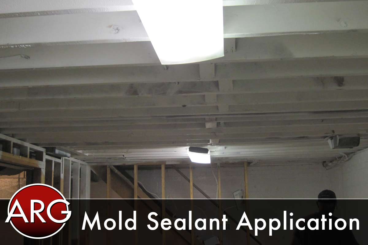 Mold Sealant Application After